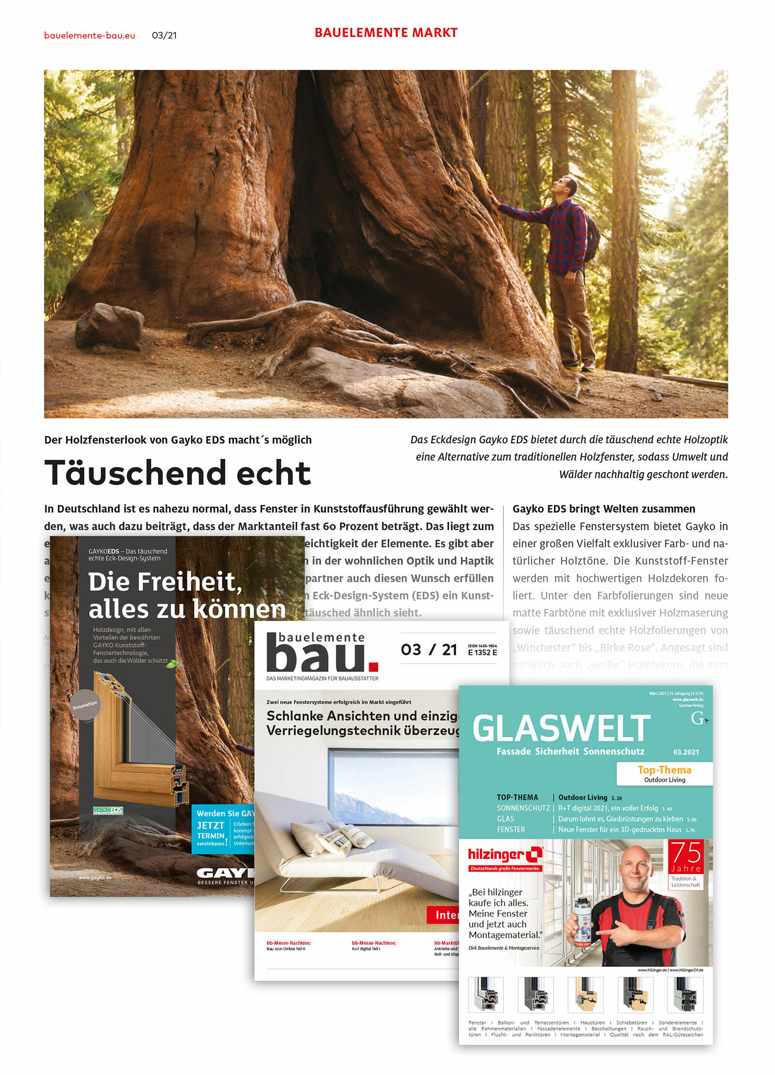 Zeitungsauschnitt